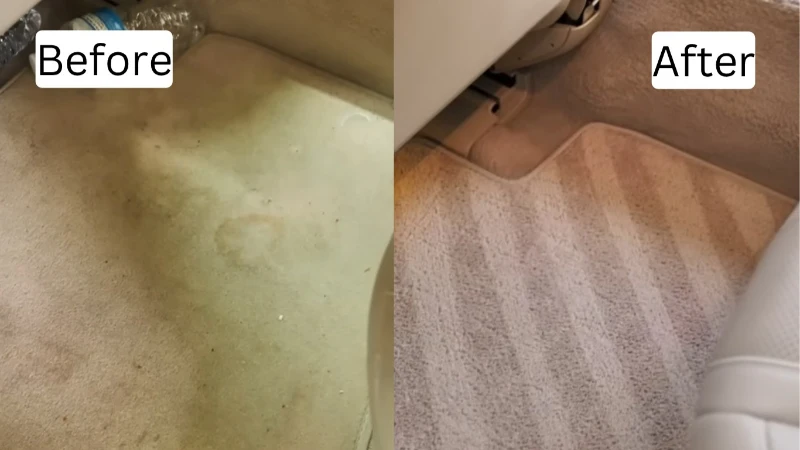 Carpet Cleaning